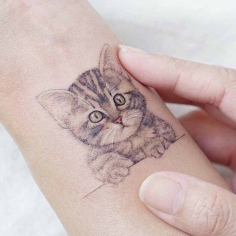 cute cat trattoo